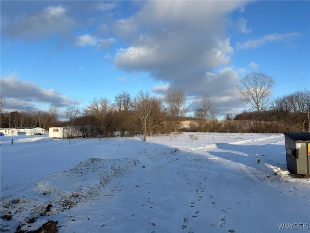 view of snowy yard