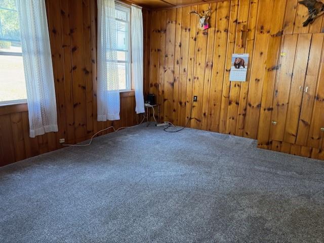 empty room with carpet flooring and wood walls