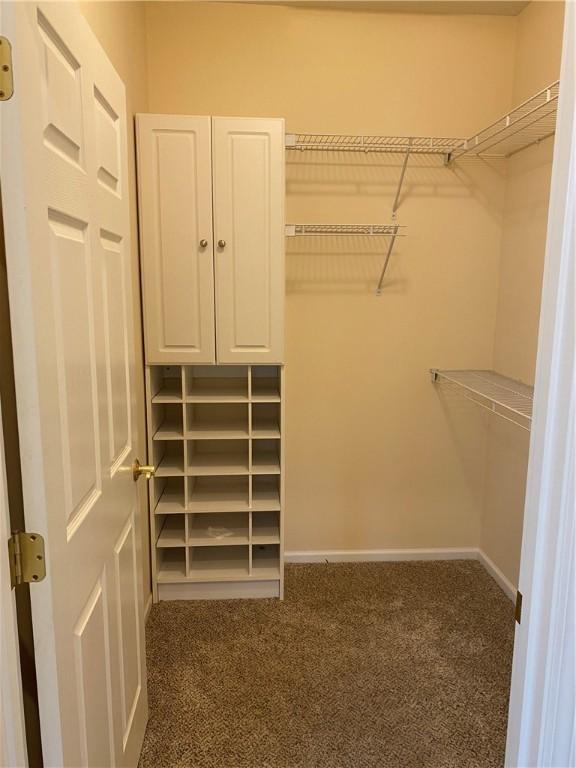 walk in closet with carpet floors