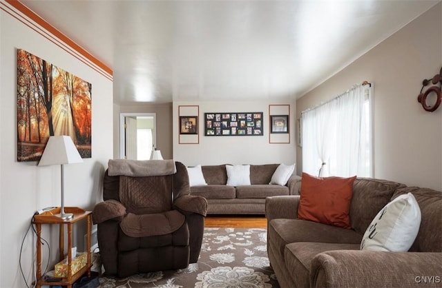 living room featuring wood finished floors