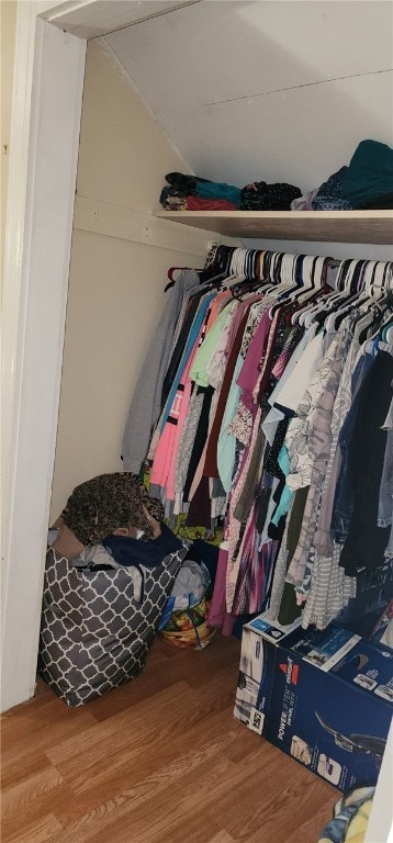 view of closet