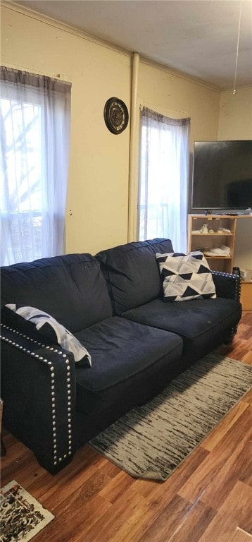 living area with crown molding and wood finished floors