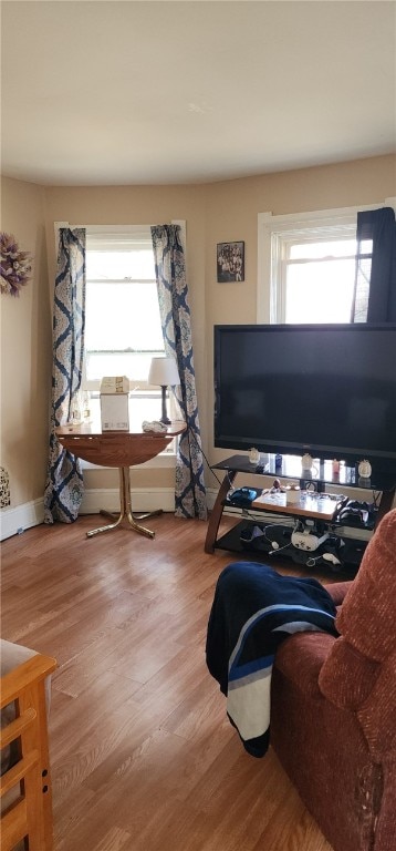 living room featuring light wood-type flooring