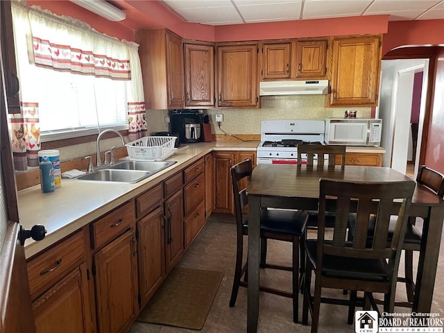 kitchen with under cabinet range hood, light countertops, white appliances, a paneled ceiling, and a sink