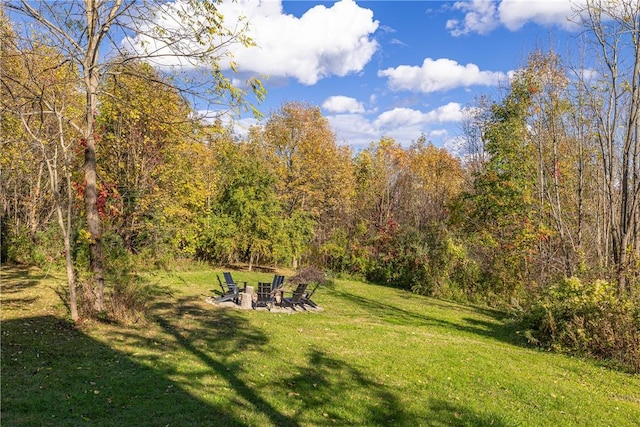 view of yard with a view of trees and a fire pit