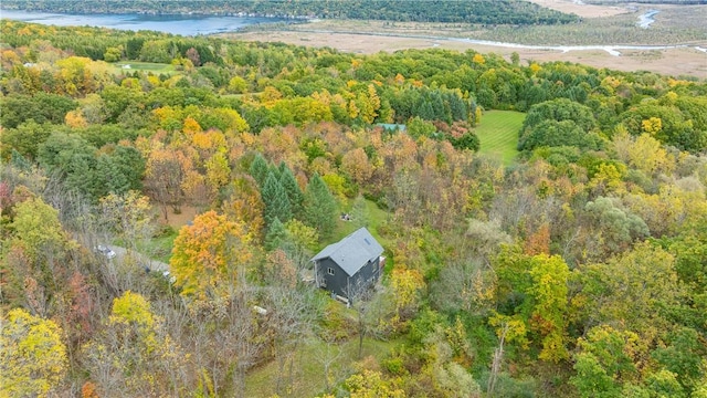 bird's eye view featuring a forest view and a water view