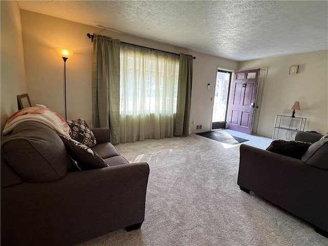 carpeted living area with a textured ceiling