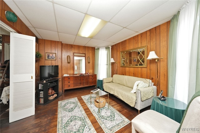 living room with dark wood finished floors, a drop ceiling, and wood walls