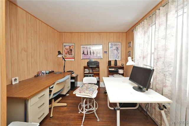 office area featuring wood finished floors