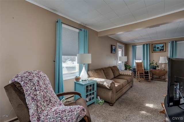 living area with a healthy amount of sunlight and crown molding