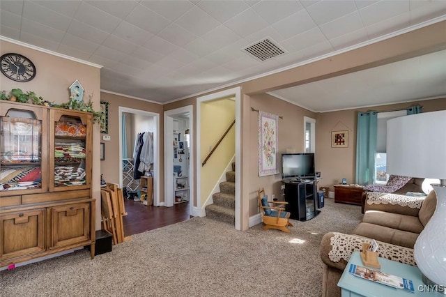 carpeted living area with stairs, visible vents, baseboards, and crown molding