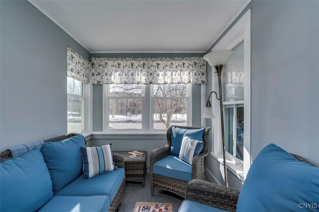 living area featuring ornamental molding and carpet flooring