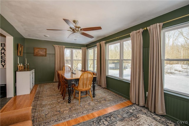 dining area with plenty of natural light, a ceiling fan, and wood finished floors