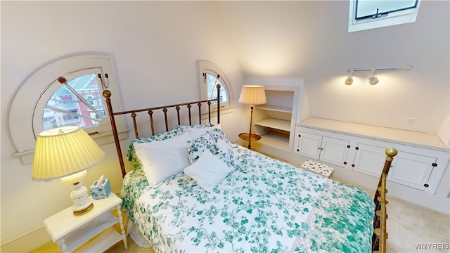 bedroom with track lighting, multiple windows, and carpet