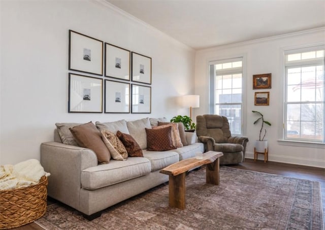 living room with baseboards, wood finished floors, and crown molding