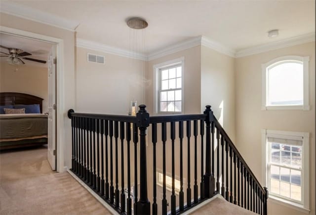 stairs featuring a wealth of natural light, visible vents, carpet flooring, and crown molding