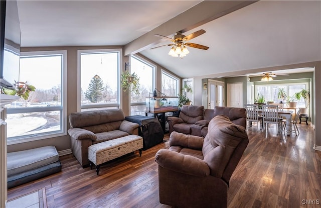 living room with dark wood finished floors, a wealth of natural light, and ceiling fan