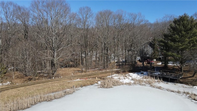 yard covered in snow featuring a wooded view