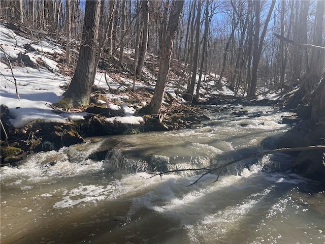 view of local wilderness