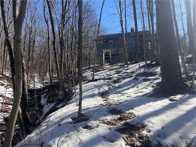 view of snowy yard