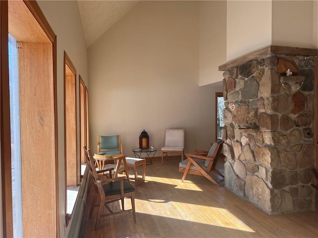 interior space featuring wood finished floors and high vaulted ceiling