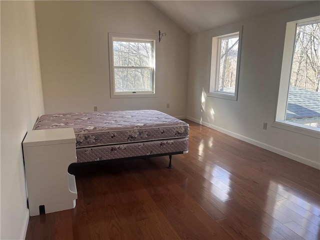 unfurnished bedroom with baseboards, multiple windows, lofted ceiling, and wood finished floors