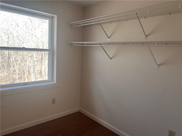 walk in closet with dark wood finished floors