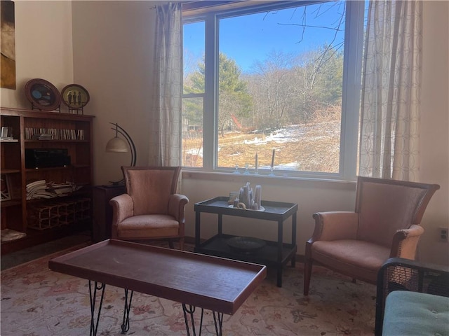 sitting room featuring a healthy amount of sunlight