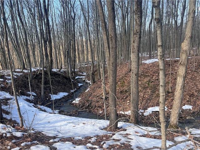 view of nature with a view of trees