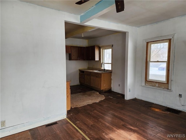 kitchen with a ceiling fan, visible vents, dark wood-style flooring, and a sink