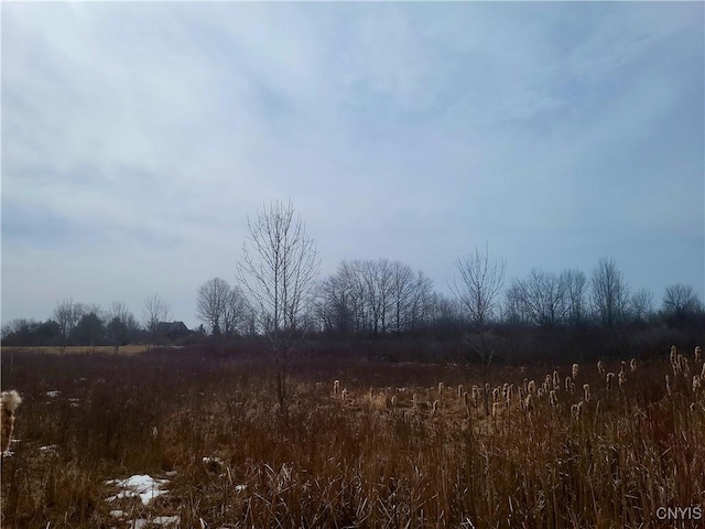 Listing photo 3 for 00 Breezy Pines Rd, Clayton NY 13624