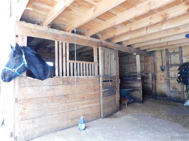 7520 County Road 17, Belfast, NY 14711 - photo 8