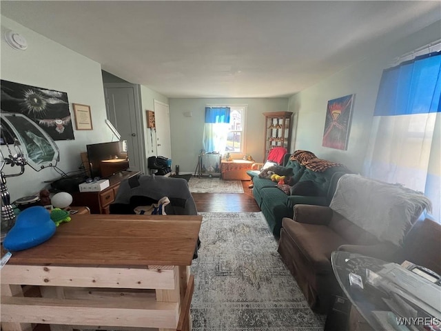 living area with wood finished floors