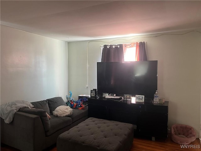 living room with wood finished floors