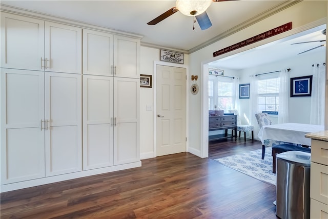 interior space with light stone countertops, dark wood finished floors, ceiling fan, white cabinetry, and crown molding