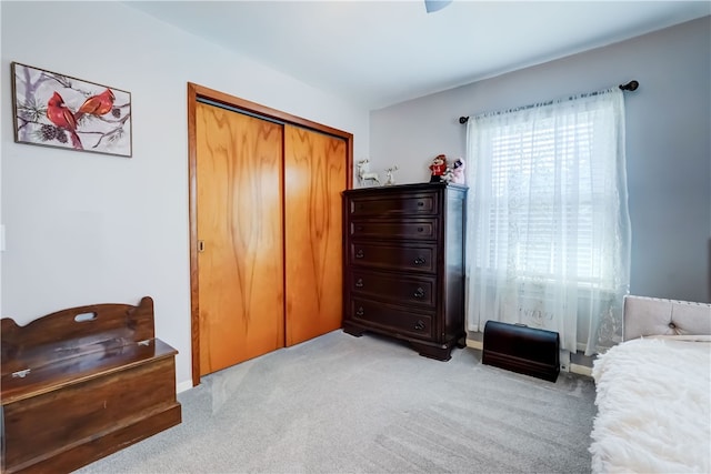 bedroom with a closet and carpet