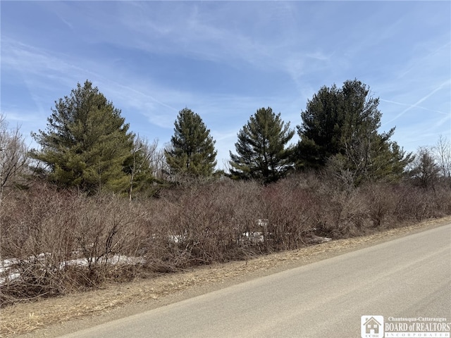 James Rd, Stockton, NY 14782