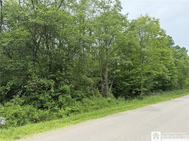 James Rd, Stockton, NY 14782