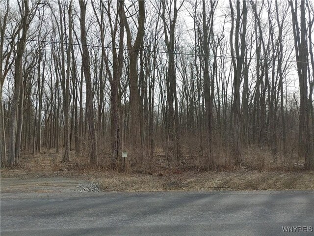 Murdock Rd, Ridgeway NY, 14103 land for sale