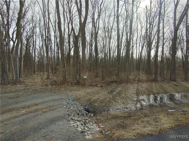 Listing photo 3 for Murdock Rd, Ridgeway NY 14103