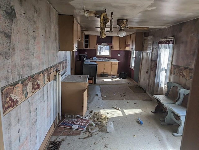 kitchen featuring a healthy amount of sunlight, light countertops, a ceiling fan, and a sink