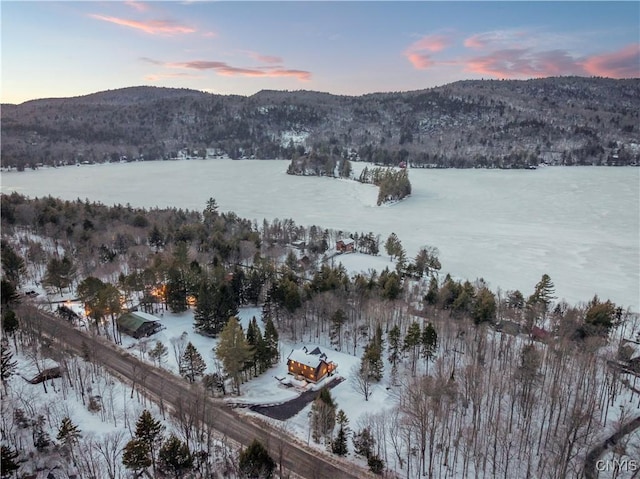 1392 Big Moose Rd, Webb, NY 13331 - mountain view