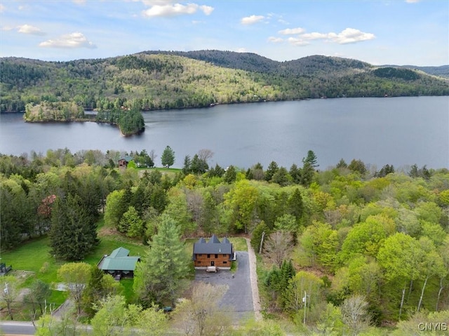 1392 Big Moose Rd, Webb, NY 13331 - view of subject property featuring a forest and a water and mountain view