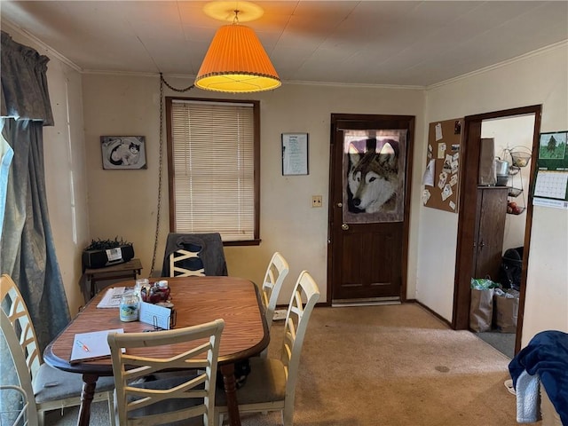 carpeted dining area with crown molding and baseboards