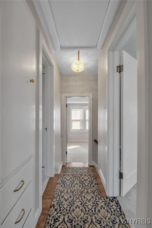 hallway featuring baseboards, attic access, and dark wood finished floors