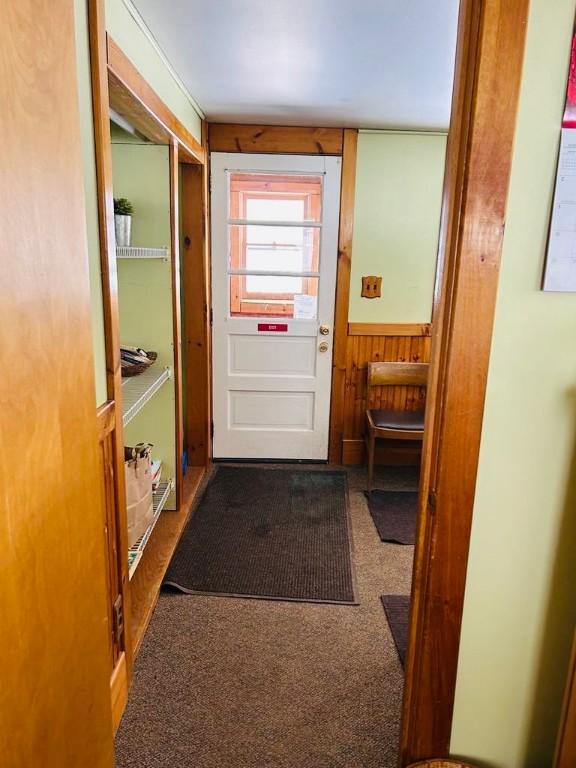 doorway to outside featuring a wainscoted wall, wood walls, and carpet flooring