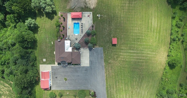 bird's eye view