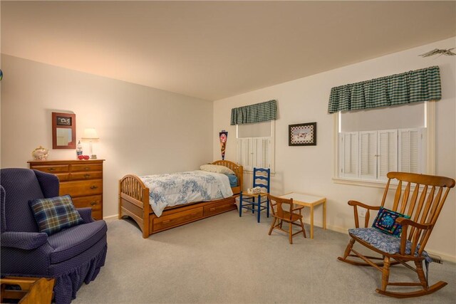 123 Sunset Ridge Rd, Otsego, NY 13326 - carpeted bedroom featuring baseboards