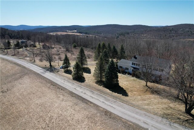 123 Sunset Ridge Rd, Otsego, NY 13326 - view of mountain background
