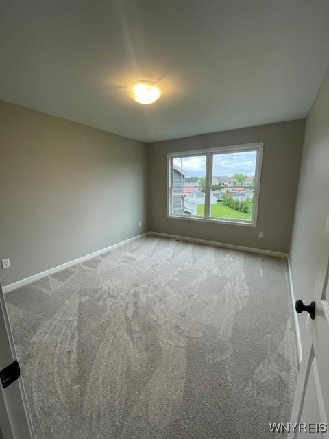 6469 Pincherry Way, Hamburg, NY 14085 - photo 15
